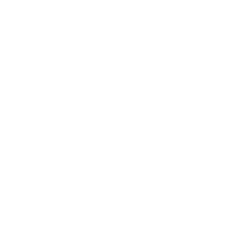 icon-19.png